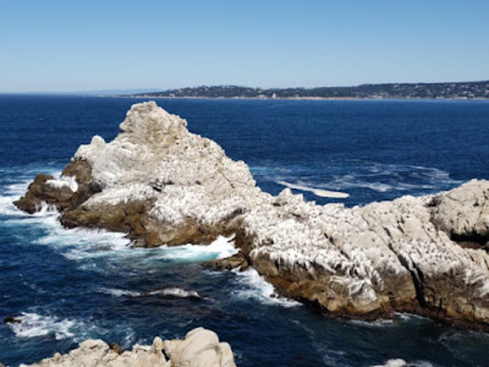 Meet your Posher, Mari